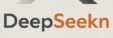 deepseekn.site
